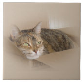 Lily #1 tegeltje (Voorkant)