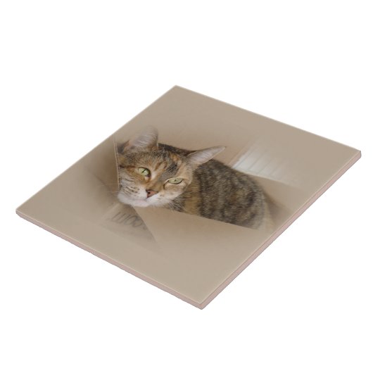 Lily #1 tegeltje (Zijkant)