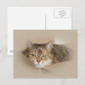 Lily #2 briefkaart (Voorkant / Achterkant)