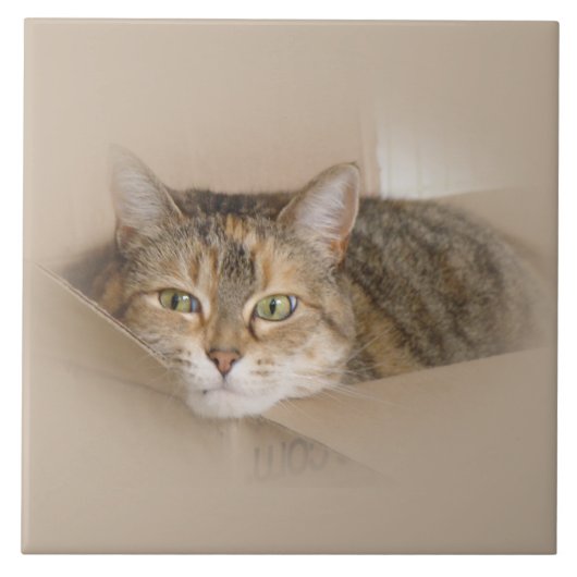 Lily #2 tegeltje (Voorkant)