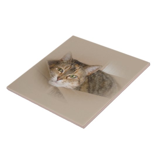 Lily #2 tegeltje (Zijkant)