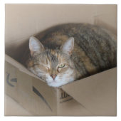 Lily #3 tegeltje (Voorkant)