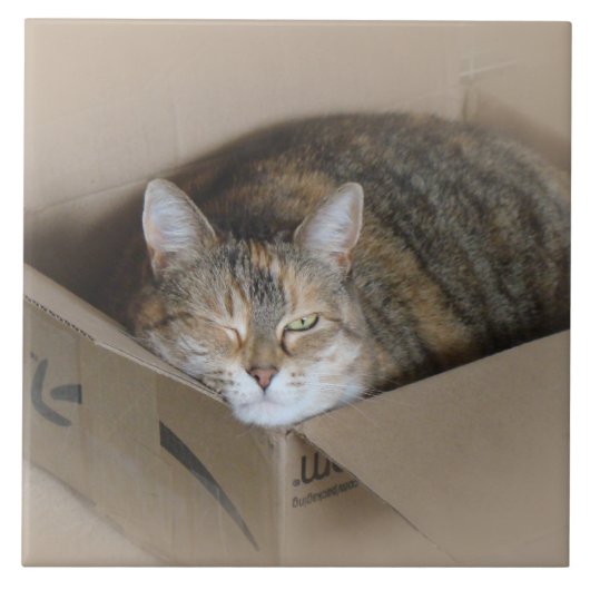 Lily #3 tegeltje (Voorkant)