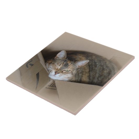 Lily #3 tegeltje (Zijkant)