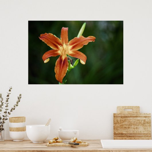 Lily 6588 Afdrukken Poster (Keuken)