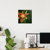 Lily 6588 Print (Thuiskantoor)