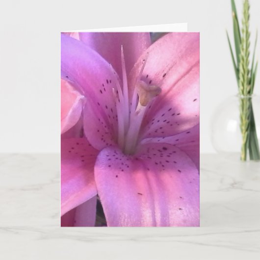 Lily All Purpose Wenskaart Kaart (Voorkant)