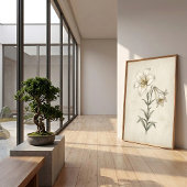 Lily Antieke Botanische Wandkunst Poster