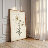 Lily Antieke Botanische Wandkunst Poster