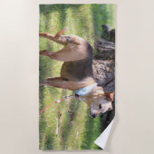 Lily Beach Towel Strandlaken (Voorkant)