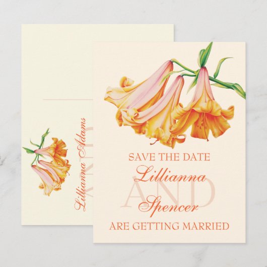 Lily bel prima kunst Sparen het briefkaart van de  (Voorkant / Achterkant)