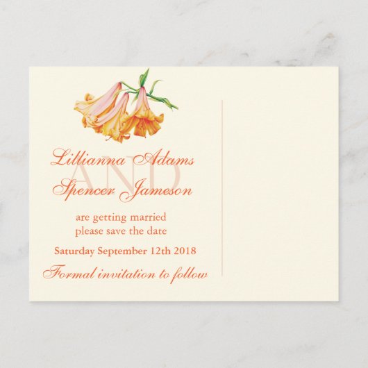 Lily bel prima kunst Sparen het briefkaart van de  (Achterkant)