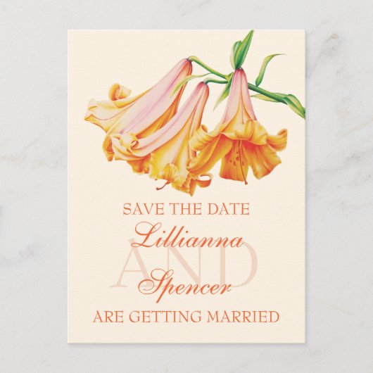 Lily bel prima kunst Sparen het briefkaart van de (Voorkant)