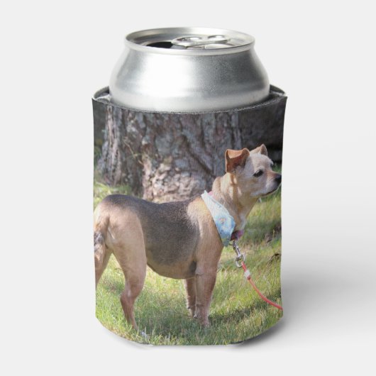 Lily Blikjeskoeler (Blikje Voorkant)