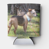 Lily Blikjeskoeler (Voorkant)