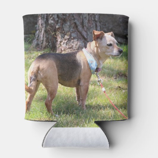 Lily Blikjeskoeler (Achterkant)