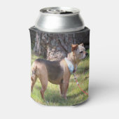 Lily Blikjeskoeler (Blikje Achterkant)