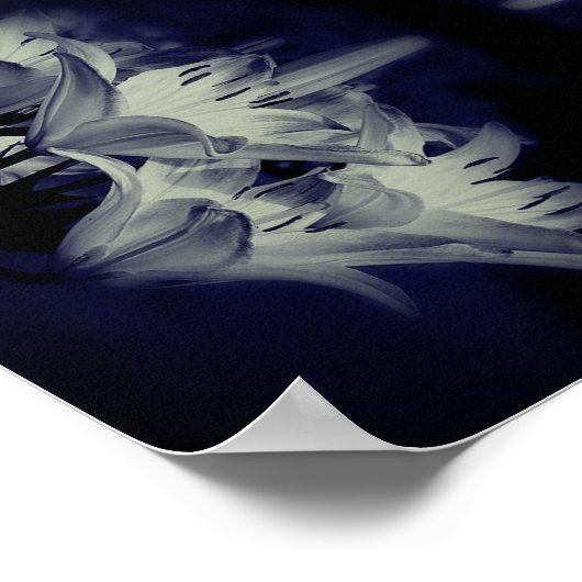 Lily bloemen in zwart-wit Abstract Poster (Hoek)