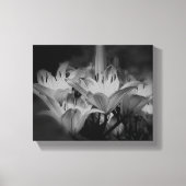 Lily bloemen in zwart-wit canvas afdruk (Voorkant)