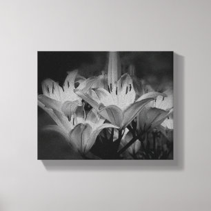 Lily bloemen in zwart-wit canvas afdruk