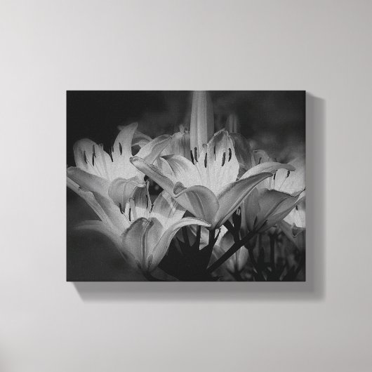Lily bloemen in zwart-wit canvas afdruk (Voorkant)