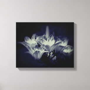 Lily bloemen in zwart-wit canvas afdruk