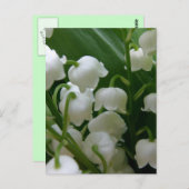 Lily Bloemen Witte Bloesems Vrede Liefde Destiny Briefkaart (Voorkant / Achterkant)