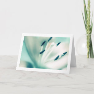 Lily bloemenfotografie, speciale gelegenheid Kaart