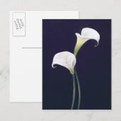 Lily Briefkaart (Voorkant / Achterkant)