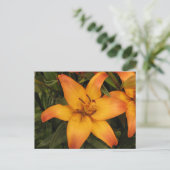 Lily Briefkaart (Staand voorkant)