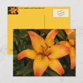 Lily Briefkaart (Voorkant / Achterkant)