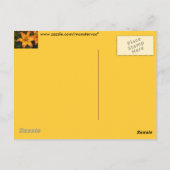 Lily Briefkaart (Achterkant)