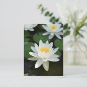Lily Briefkaart (Staand voorkant)