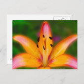 Lily Briefkaart (Voorkant / Achterkant)