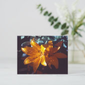 Lily | BRIEFKAART (Staand voorkant)
