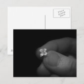 Lily Briefkaart (Voorkant / Achterkant)