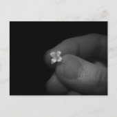 Lily Briefkaart (Voorkant)