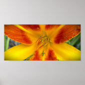 Lily & Bug, Poster (Voorkant)