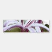 Lily Bumpersticker (Voorkant)