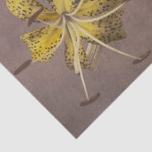 Lily by Ogawa Kazumasa Tissuepapier (Detail)