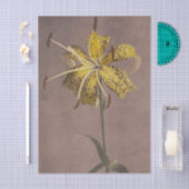 Lily by Ogawa Kazumasa Tissuepapier (Craft)