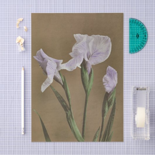 Lily by Ogawa Kazumasa Tissuepapier (Craft)