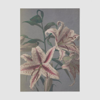 Lily by Ogawa Kazumasa Tissuepapier