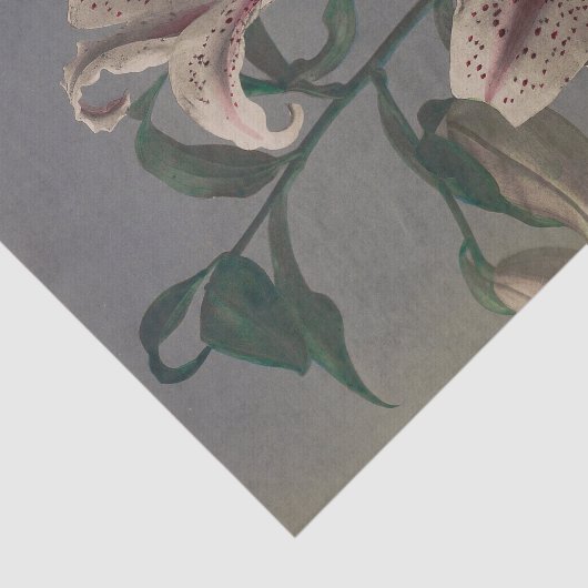 Lily by Ogawa Kazumasa Tissuepapier (Detail)