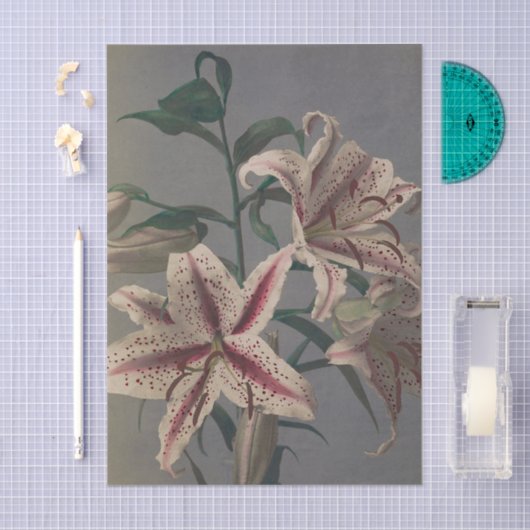 Lily by Ogawa Kazumasa Tissuepapier (Craft)