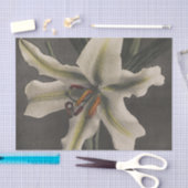 Lily by Ogawa Kazumasa Tissuepapier (Craft)