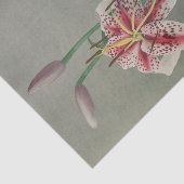 Lily by Ogawa Kazumasa Tissuepapier (Detail)