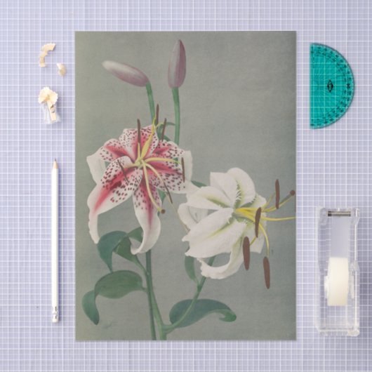 Lily by Ogawa Kazumasa Tissuepapier (Craft)