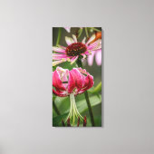 Lily canvas afdruk (Voorkant)