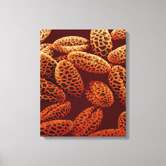 Lily Canvas Afdruk (Voorkant)